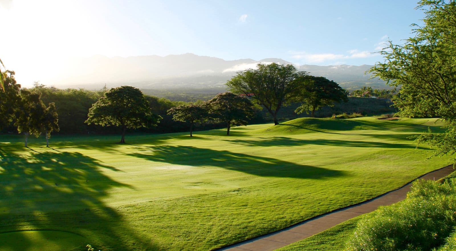 Green fairway at The Bog golf course